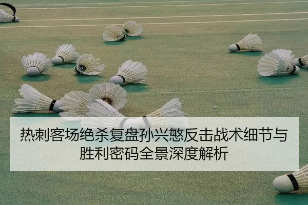 热刺客场绝杀复盘孙兴慜反击战术细节与胜利密码全景深度解析